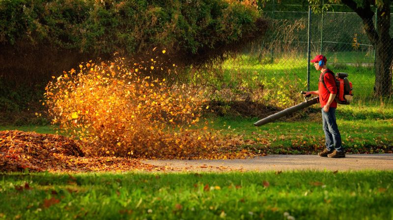 Contact About Leaf Blowing