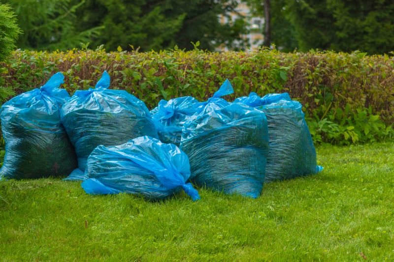 Lawn Debris Cleanup