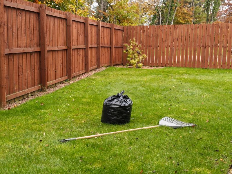 Why Fall And Spring Are The Best Times For Lawn Clean Up